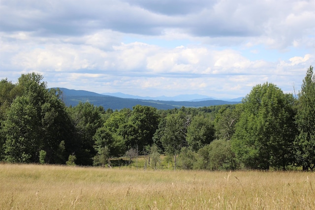 mountain view with a forest view