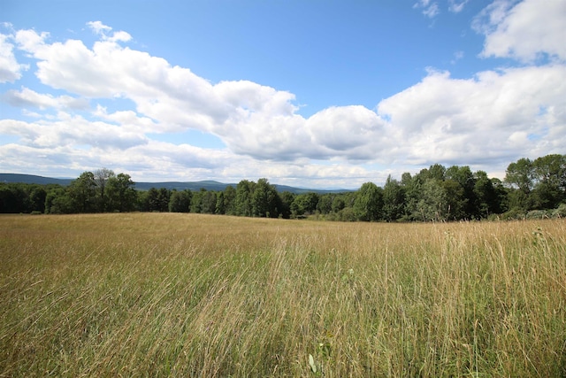 view of local wilderness with a rural view and a forest view