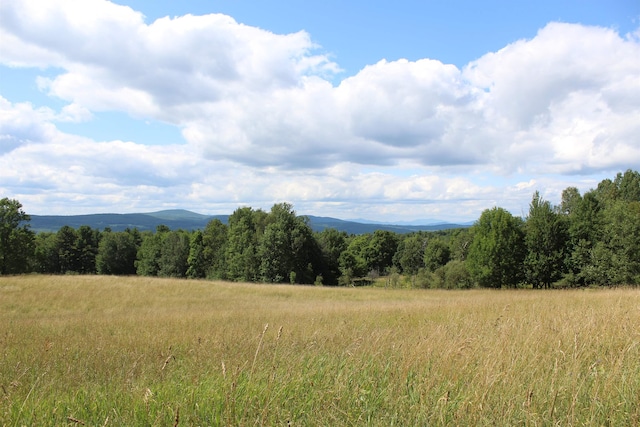 view of mountain feature with a rural view and a forest view