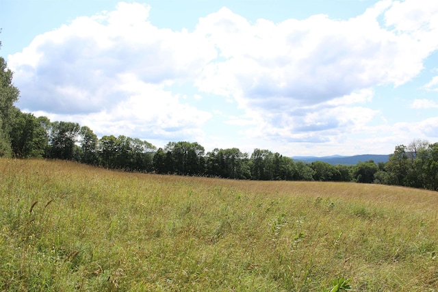 view of nature featuring a rural view