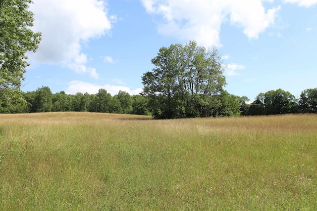 view of nature featuring a wooded view