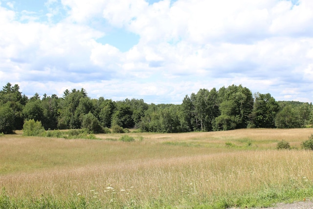 view of local wilderness with a rural view