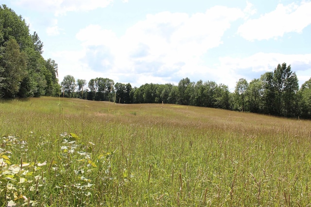 view of local wilderness featuring a rural view and a forest view