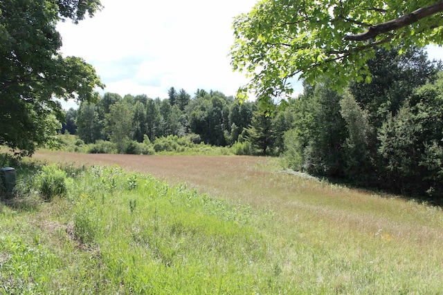 view of local wilderness featuring a wooded view
