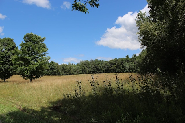 view of local wilderness with a view of trees