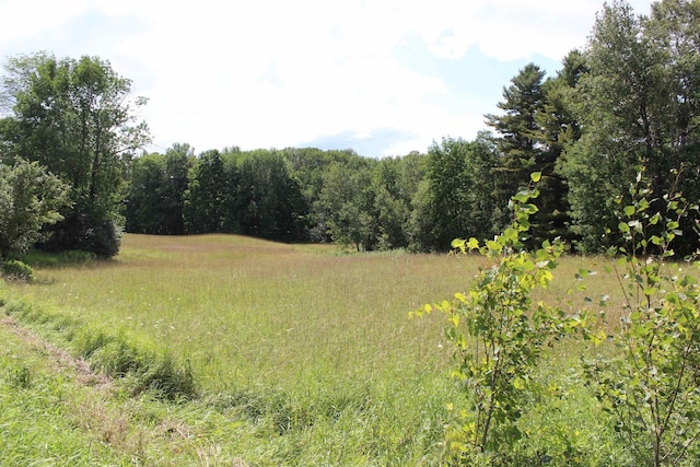 view of local wilderness with a view of trees