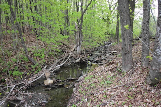 view of nature