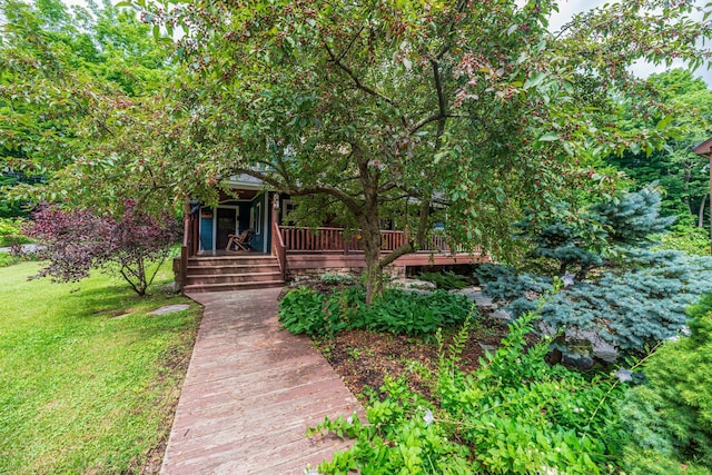 view of property hidden behind natural elements with a front yard and a deck