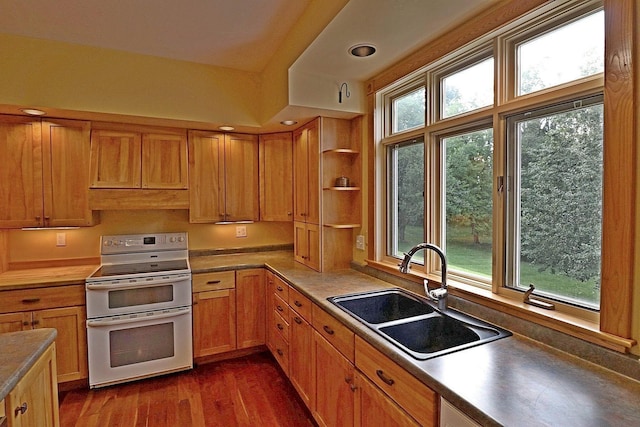 kitchen with double oven range, sink, a healthy amount of sunlight, and range hood