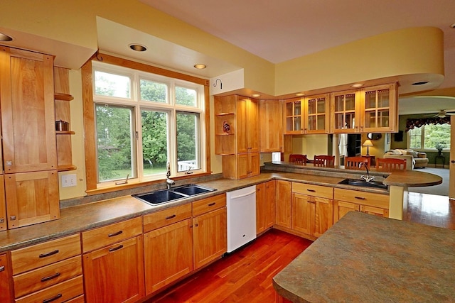 kitchen featuring sink, dark hardwood / wood-style floors, and dishwasher