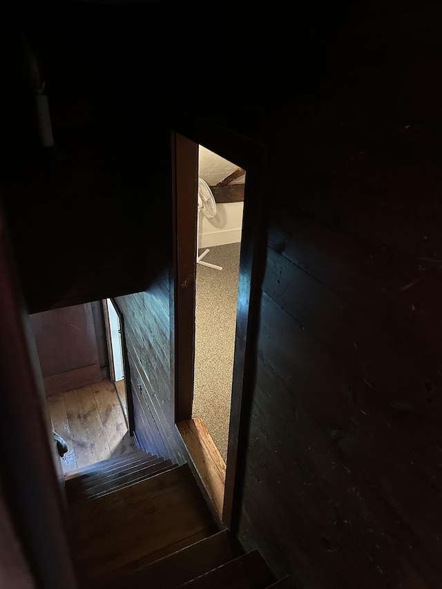 room details featuring wood-type flooring