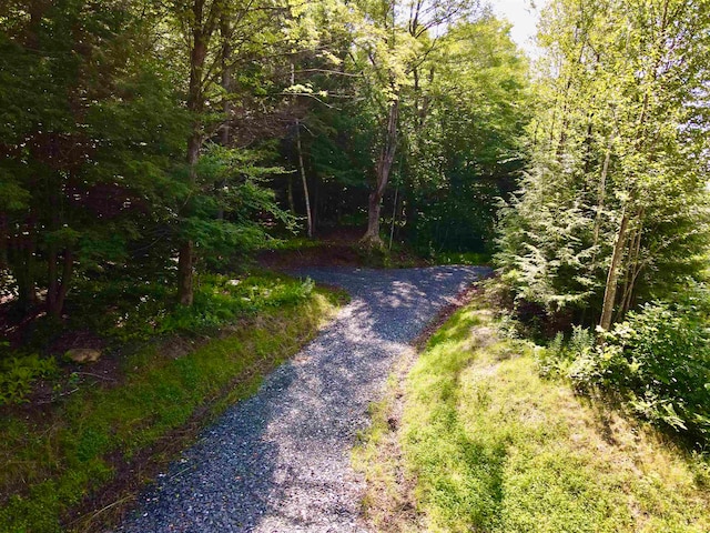 4475 Vt Route 100, Warren VT, 05674 land for sale