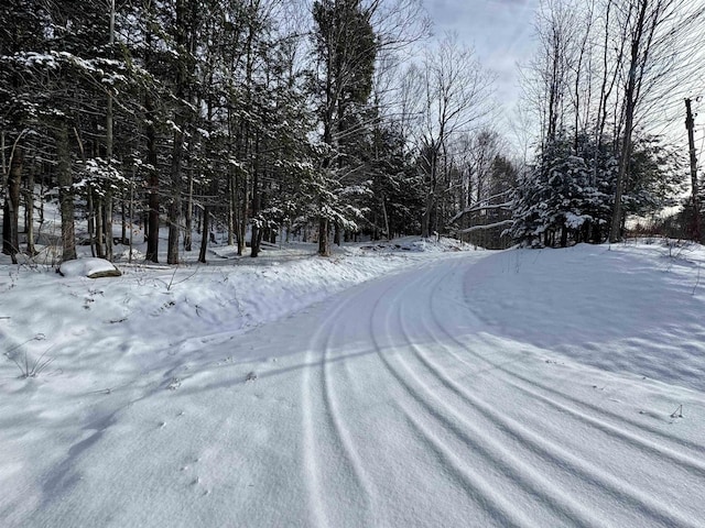 4475 Vt Route 100, Warren, VT 05674