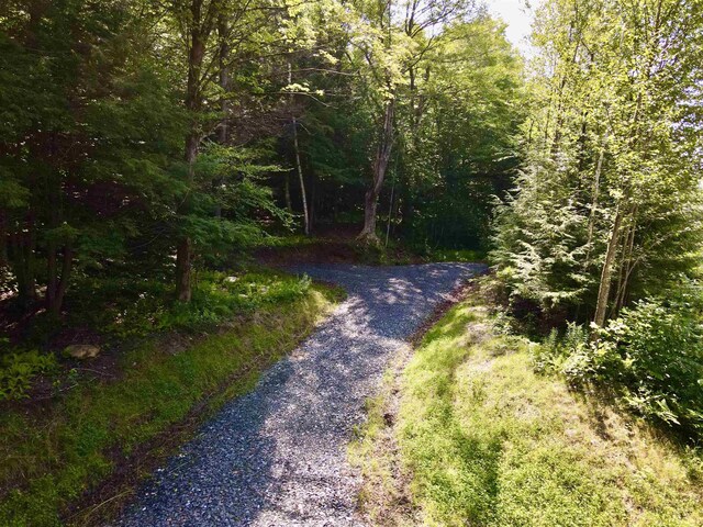 4475 Vt Route 100, Warren, VT 05674
