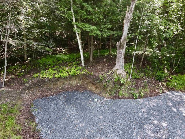 4475 Vt Route 100, Warren, VT 05674