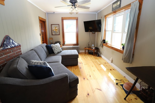 living room with ornamental molding, radiator heating unit, ceiling fan, and light hardwood / wood-style flooring