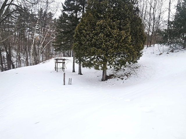 view of snowy yard