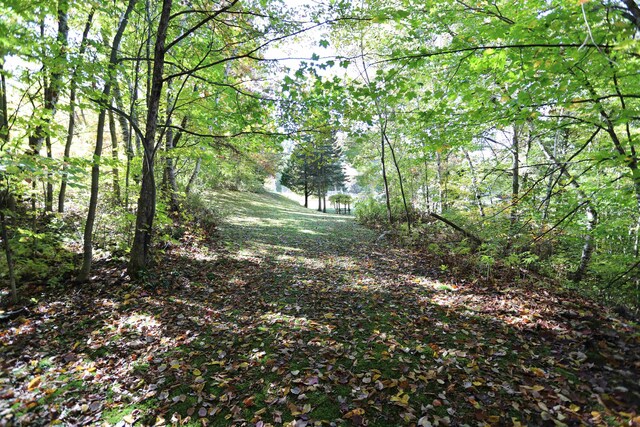 view of landscape