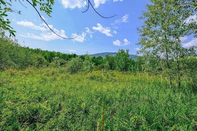 00 Town Farm Rd, Ludlow VT, 05149 land for sale