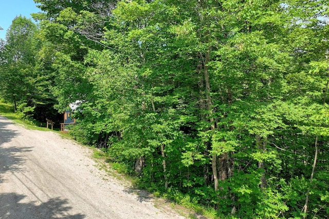 Woodpecker Rd, Plymouth, VT 05056