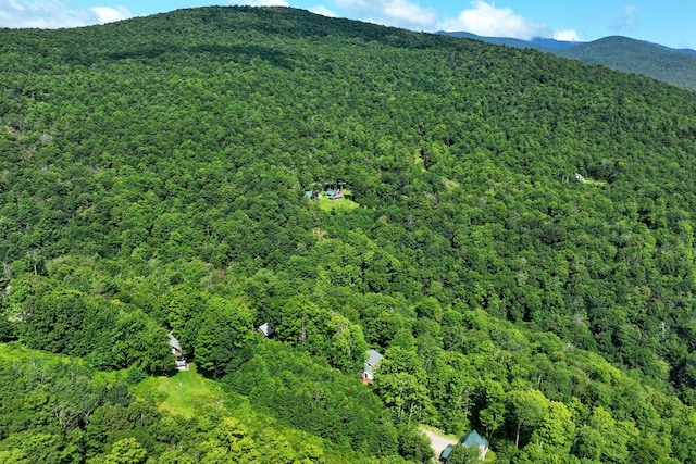 Woodpecker Rd, Plymouth, VT 05056