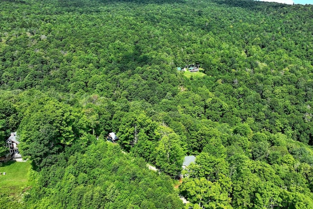 Woodpecker Rd, Plymouth, VT 05056