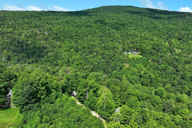 Woodpecker Rd, Plymouth, VT 05056