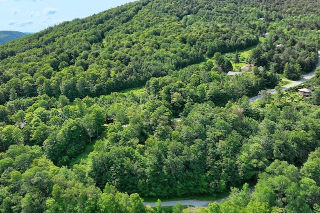 Woodpecker Rd, Plymouth, VT 05056