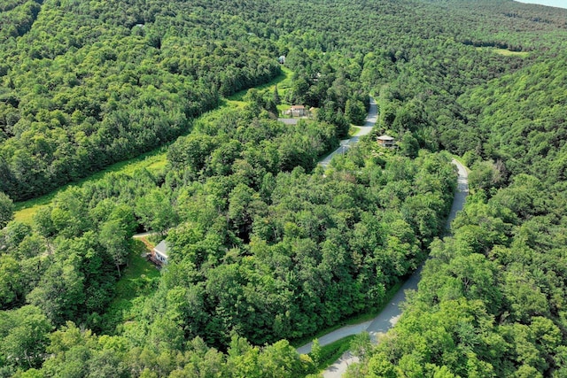 Woodpecker Rd, Plymouth, VT 05056
