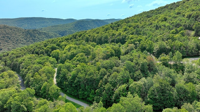 Woodpecker Rd, Plymouth, VT 05056