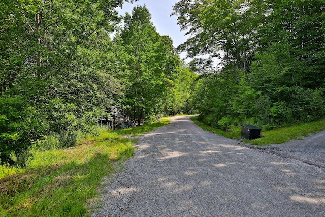 Woodpecker Rd, Plymouth, VT 05056
