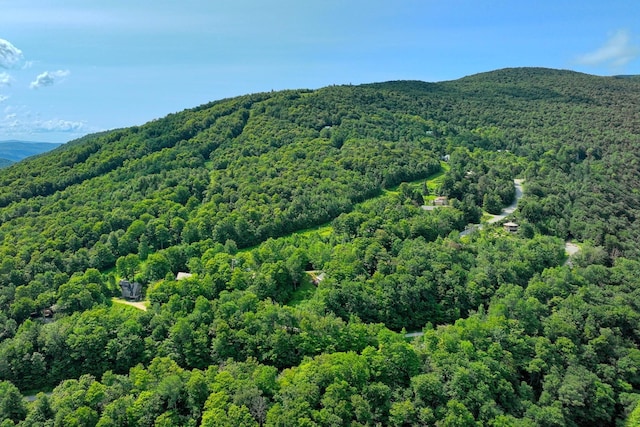 Woodpecker Rd, Plymouth, VT 05056