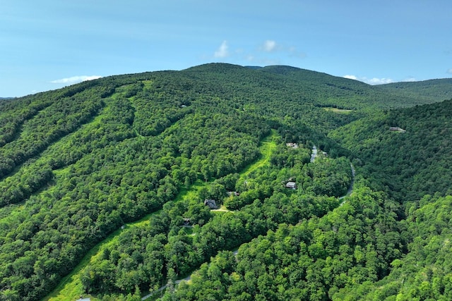 Woodpecker Rd, Plymouth, VT 05056