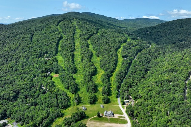 Woodpecker Rd, Plymouth, VT 05056