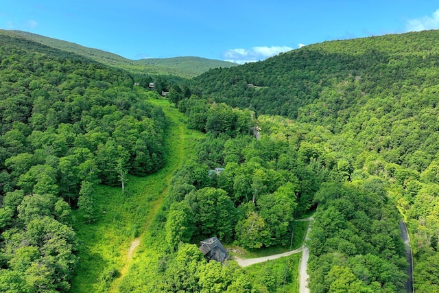 Woodpecker Rd, Plymouth, VT 05056