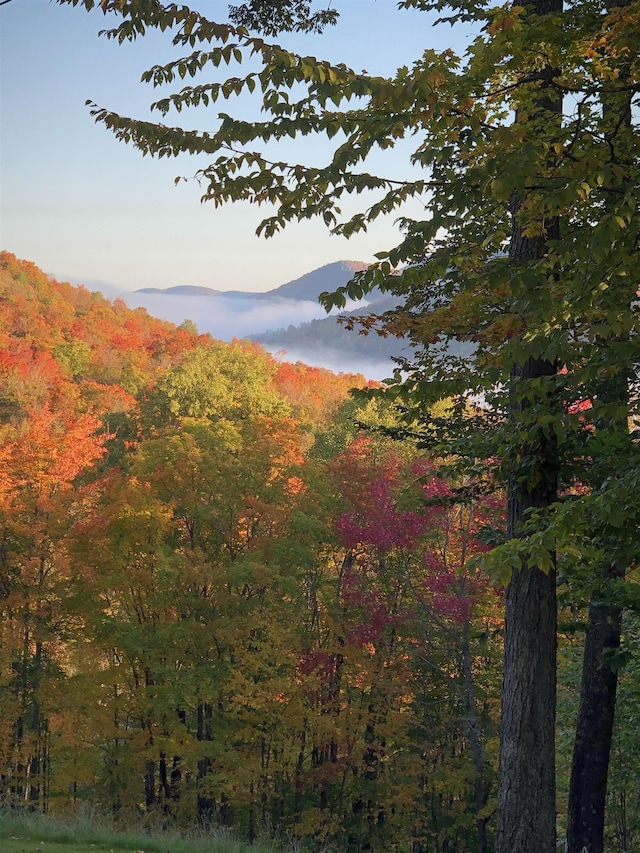 Woodpecker Rd, Plymouth, VT 05056