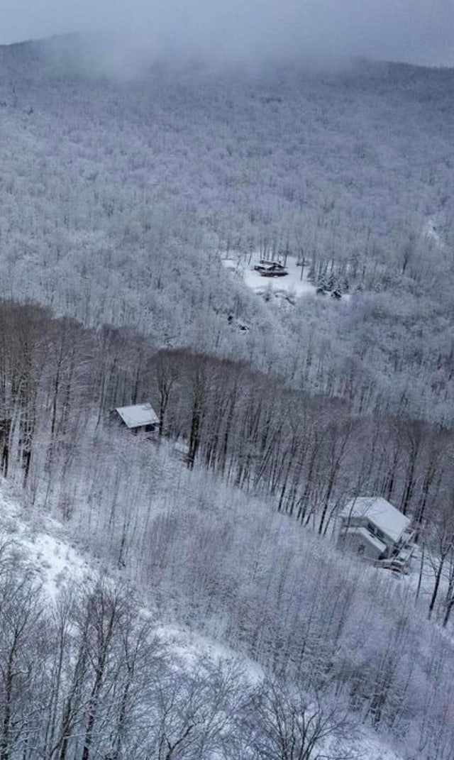 Woodpecker Rd, Plymouth, VT 05056