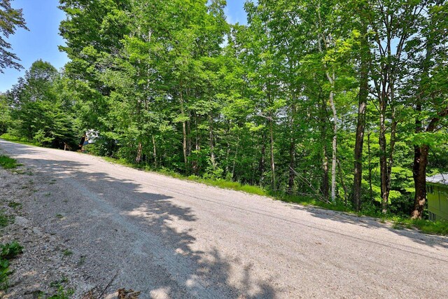 Woodpecker Rd, Plymouth, VT 05056