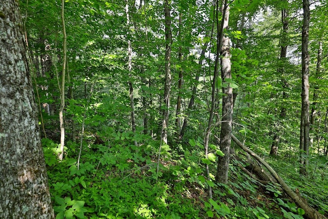 Woodpecker Rd, Plymouth, VT 05056