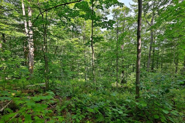 Woodpecker Rd, Plymouth, VT 05056