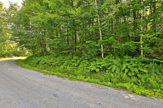 Woodpecker Rd, Plymouth, VT 05056