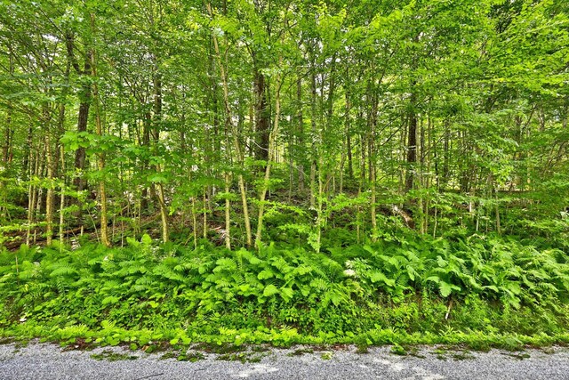 Woodpecker Rd, Plymouth, VT 05056