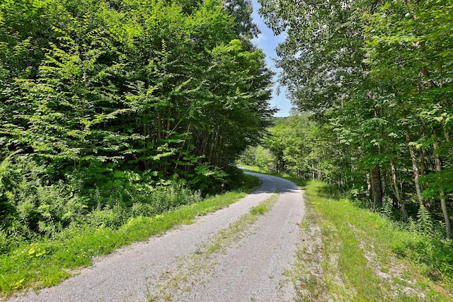 Woodpecker Rd, Plymouth, VT 05056
