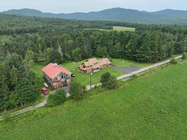 drone / aerial view with a mountain view