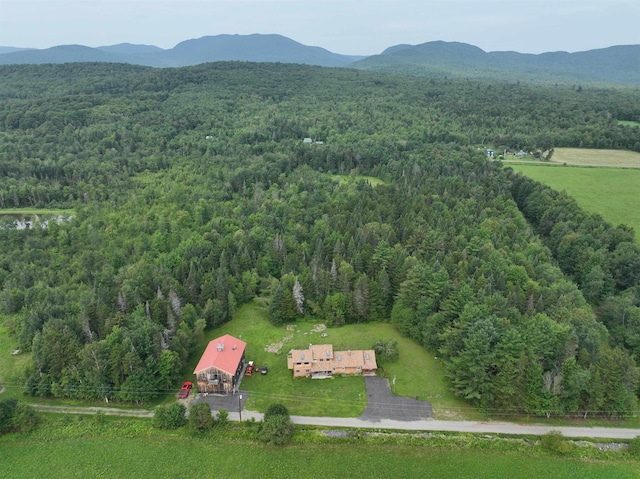 drone / aerial view with a mountain view