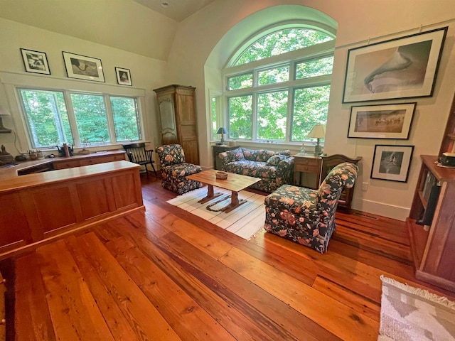 living room featuring wood-type flooring, a towering ceiling, and sink