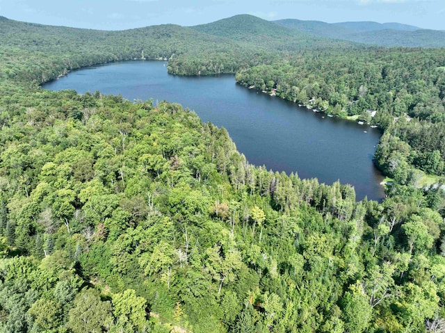 Listing photo 3 for 501 Martins Pond Ln, Peacham VT 05862