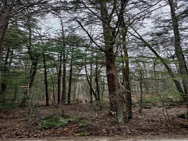 LOT15-1 N Shore Rd, New Durham NH, 03855 land for sale