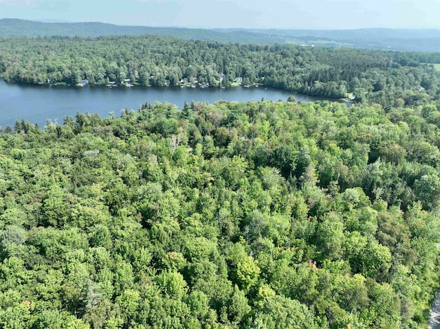 101A Martins Pond Ln, Peacham VT, 05862 land for sale