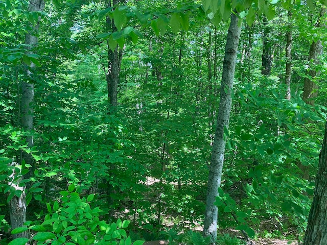 Upper Howes Way, Wilmington VT, 05363 land for sale